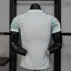 Player Inter Milan Away 25-26