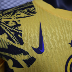 Player Inter Milan Third Away 24-25