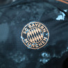 24/25 Player Bayern Munich Away