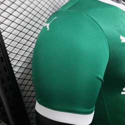 25/26 Players Palmeiras Home all sponsors