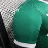 25/26 Players Palmeiras Home all sponsors