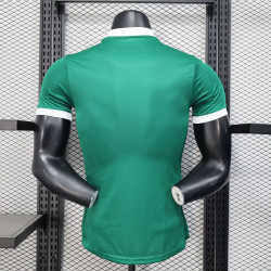 25/26 Players Palmeiras Home all sponsors