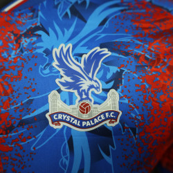 Camisa Crystal palace 24-25 jogador