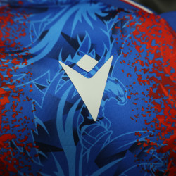 Camisa Crystal palace 24-25 jogador