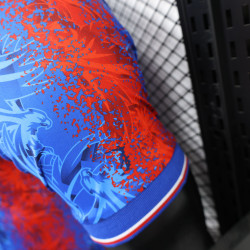 Camisa Crystal palace 24-25 jogador