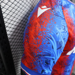 Camisa Crystal palace 24-25 jogador