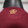 Camisa Aston Villa jogador